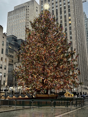 Christmas tree at Rockefeller center
