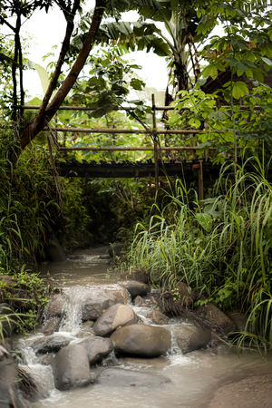 Bridge crossing stream in tropical forest