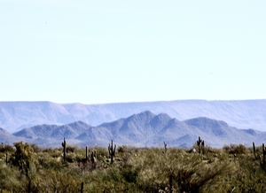 Desert Plateau Mountains