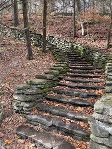 Stonne stairway through the forest