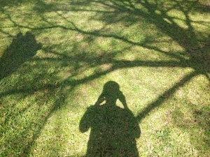Shadows of people taking pictures in a city park