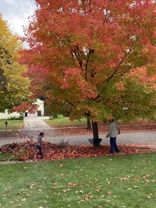Father and daughter playing with leaves in autumn  Michigan