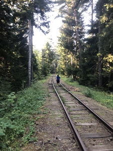 Woman walking on railway through forest