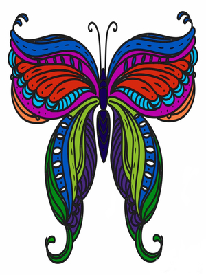 beauty Butterfly