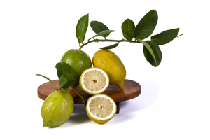 Lime fruit on the table with white background